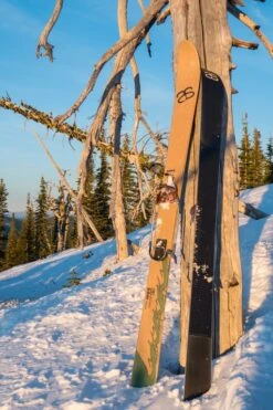 Skis Altai Kom -Fischer Soldes skis altai kom 11