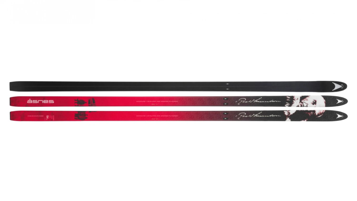 Åsnes Amundsen BC (Sans écailles) 6 Åsnes Amundsen BC (Sans écailles) – Image 4