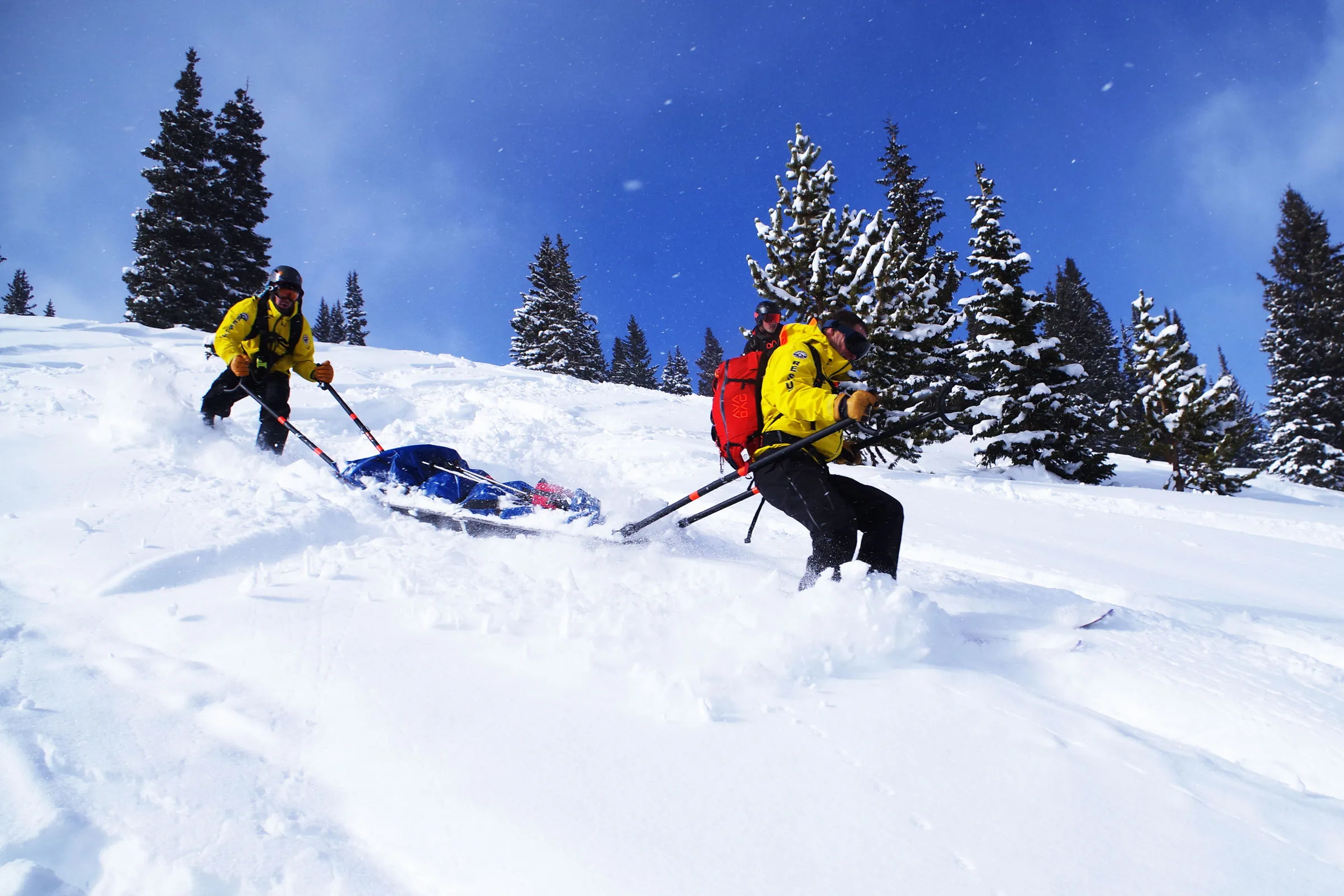 Fischer Soldes -Fischer Soldes science lede avalanche recovery trelease ART atkins 300dpi